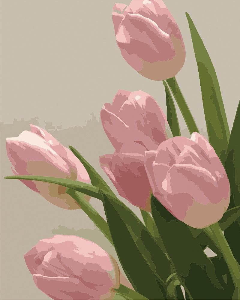 Pink tulips in detail