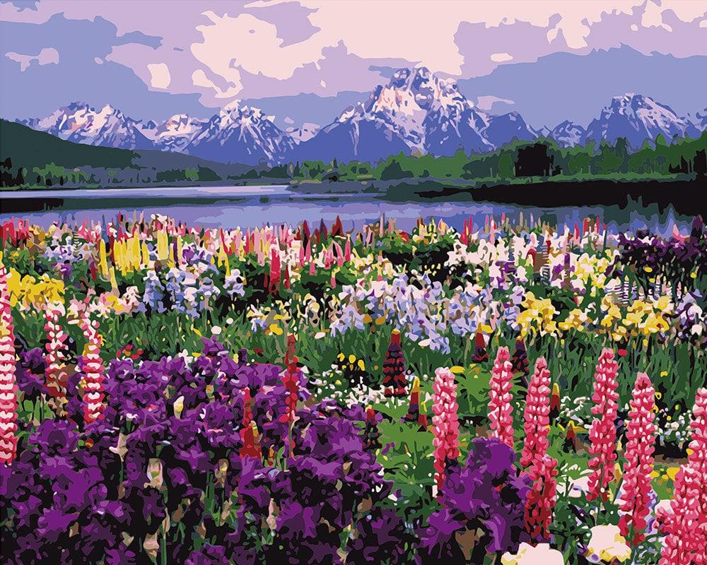 Flowerfield with snow mountain