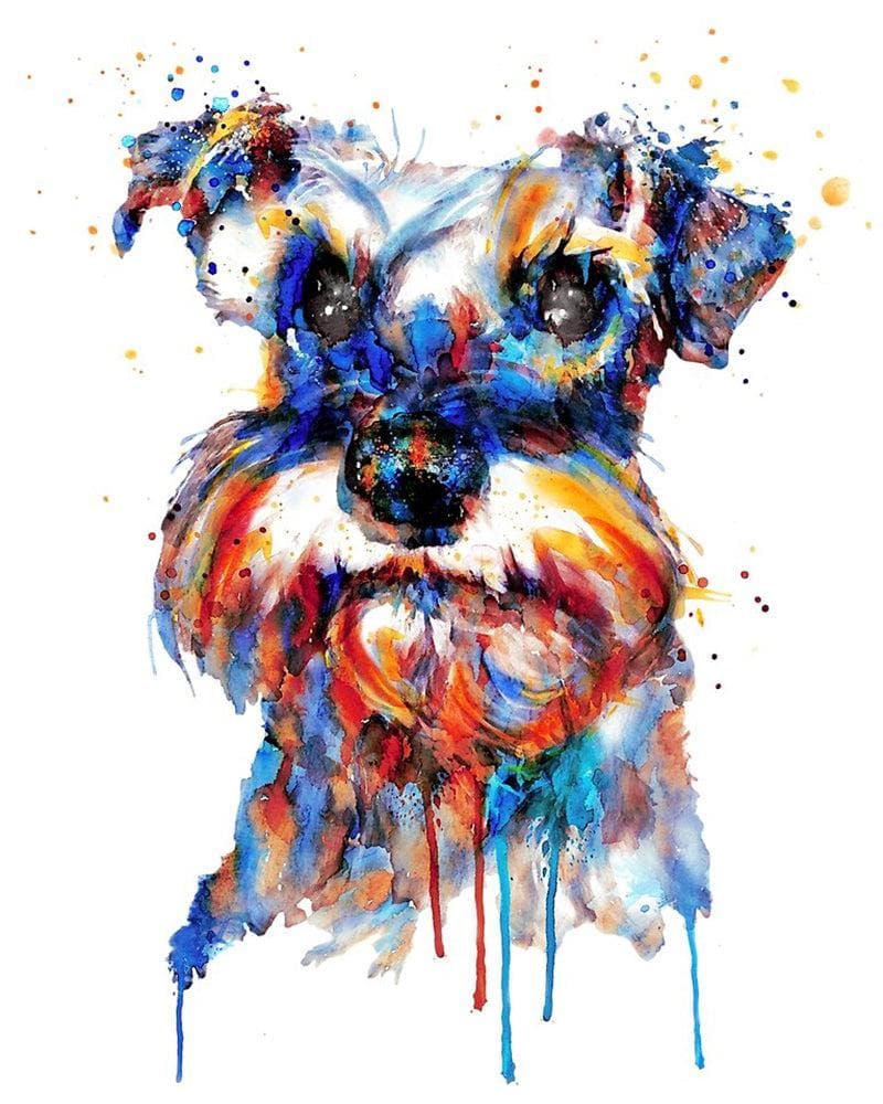 A colorful Yorkshire terrier