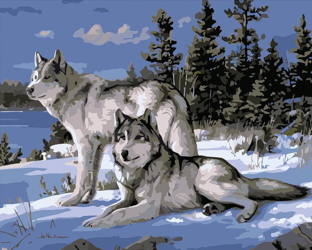 Two wolves laying on the snow