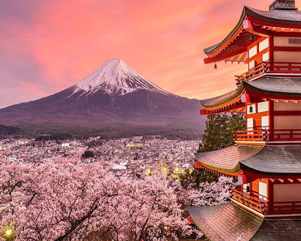 The mountain FUJI at sunset