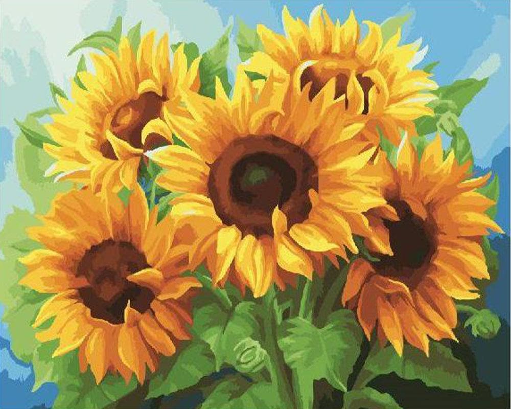 Sunflowers in sunshine