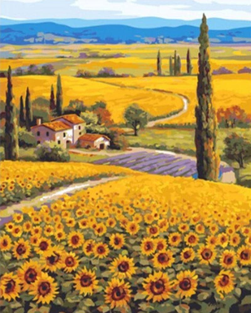 Wide sunflowers field